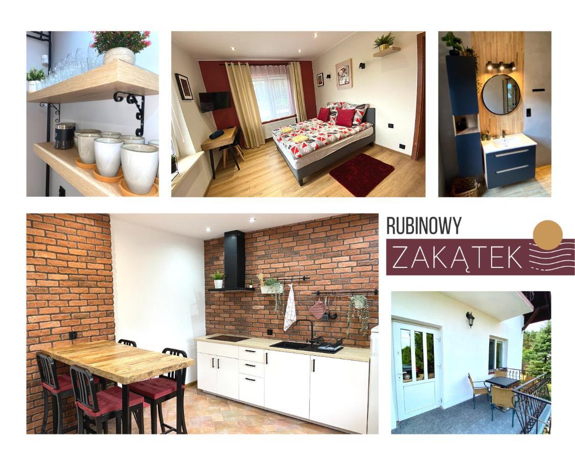 Zasadkowe Bory Apartment Rogowo (Rypin)