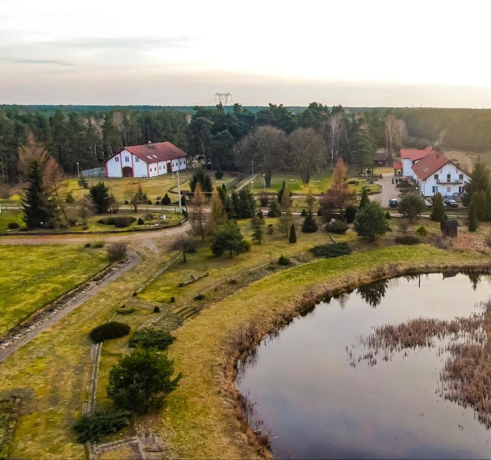Zasadkowe Bory Rogowo (Rypin)