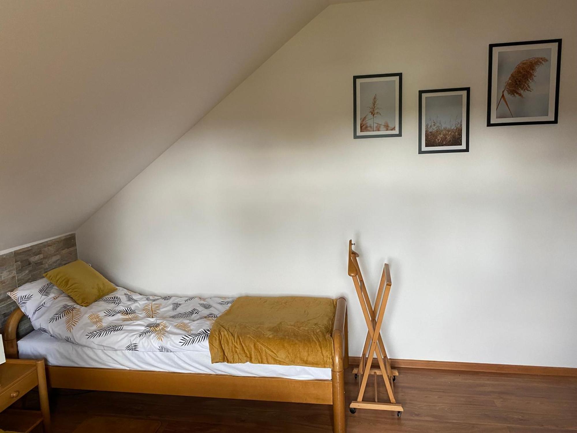 Apartment Zasadkowe Bory Rogowo (Rypin)