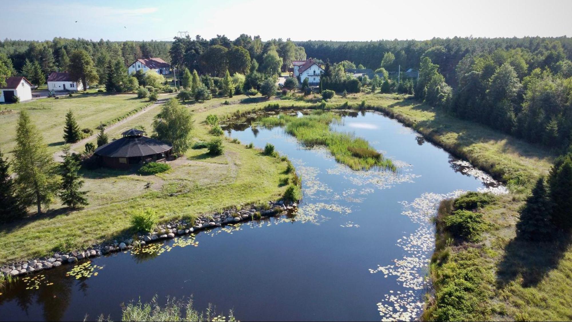 Zasadkowe Bory Rogowo (Rypin)